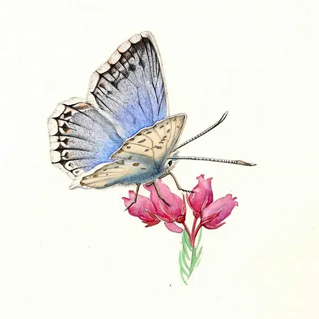 L'azure D'ovronnaz Apartment *