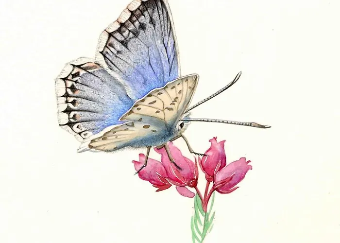 L'azure D'ovronnaz Διαμέρισμα *